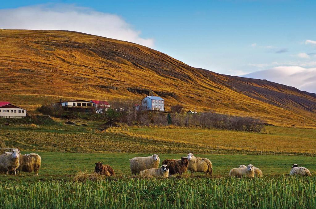 Saudafell Guesthouse Sauðafell エクステリア 写真